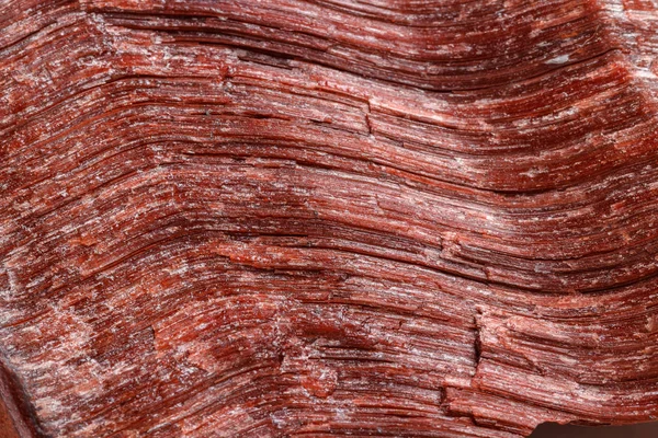 Macro Minerale Stenen Schot Roos Close Tijgeroog Het Ras Een — Stockfoto