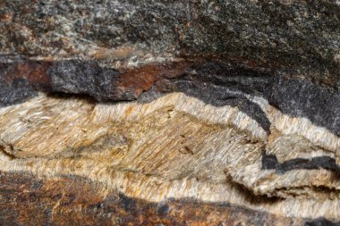 Makro mineral taş yılan göz beyaz bir arka plan Rock'daki yakın çekim