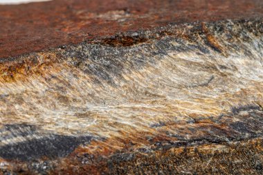 Makro mineral taş yılan göz beyaz bir arka plan Rock'daki yakın çekim