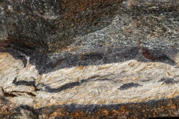 Macro Mineral Pedra Snake Olho Rocha Fundo Branco Perto — Fotografia de Stock