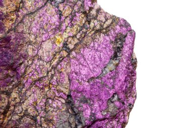 (Mor) purpurite beyaz bir arka plan doğurmak içinde makro mineral taş purpureus, yakın çekim