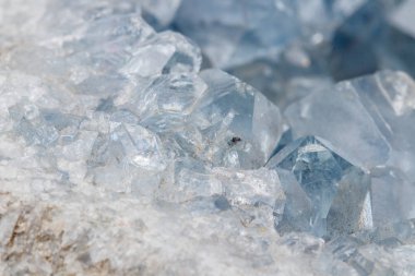 Makro mineral taş Celestine doğurmak beyaz bir arka plan yakın çekim