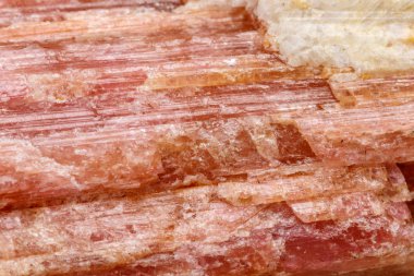 Makro mineral taş Turmalin doğurmak beyaz bir arka plan yakın çekim