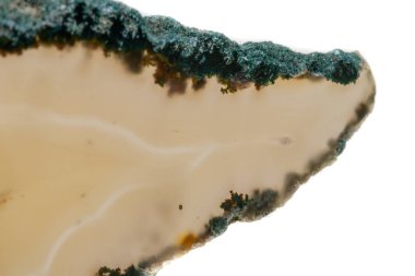 Makro mineral taş Sarı Akik doğurmak beyaz bir arka plan yakın çekim