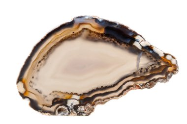 Beyaz bir arka plan makro mineral taş sarı, kahverengi akik doğurmak yakın çekim