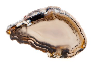 Beyaz bir arka plan makro mineral taş sarı, kahverengi akik doğurmak yakın çekim