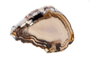 Beyaz bir arka plan makro mineral taş sarı, kahverengi akik doğurmak yakın çekim