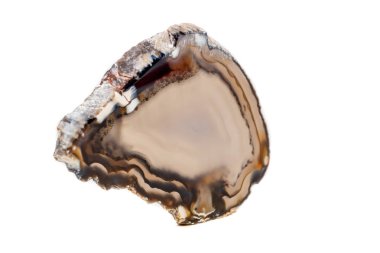 Beyaz bir arka plan makro mineral taş sarı, kahverengi akik doğurmak yakın çekim