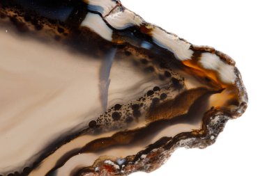 Beyaz bir arka plan makro mineral taş sarı, kahverengi akik doğurmak yakın çekim