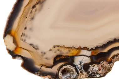 Beyaz bir arka plan makro mineral taş sarı, kahverengi akik doğurmak yakın çekim