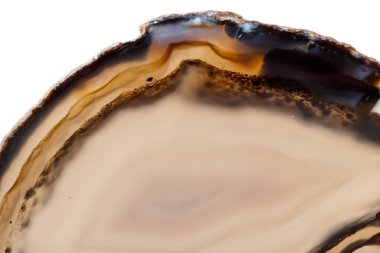 Beyaz bir arka plan makro mineral taş sarı, kahverengi akik doğurmak yakın çekim