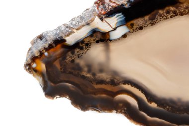 Beyaz bir arka plan makro mineral taş sarı, kahverengi akik doğurmak yakın çekim