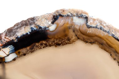 Beyaz bir arka plan makro mineral taş sarı, kahverengi akik doğurmak yakın çekim