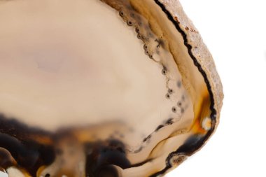 Beyaz bir arka plan makro mineral taş sarı, kahverengi akik doğurmak yakın çekim