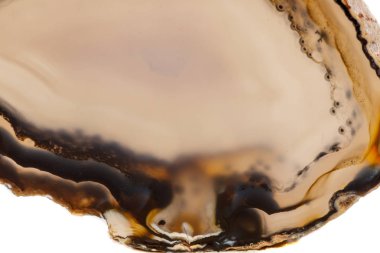 Beyaz bir arka plan makro mineral taş sarı, kahverengi akik doğurmak yakın çekim