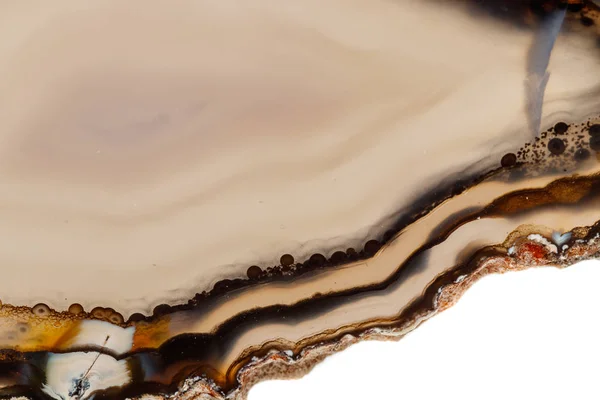 Macro Minerale Steen Geel Bruin Agaat Ras Een Witte Achtergrond — Stockfoto