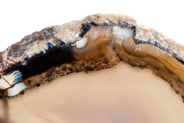 Beyaz bir arka plan makro mineral taş sarı, kahverengi akik doğurmak yakın çekim