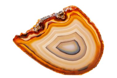 Beyaz bir arka plan makro mineral taş sarı, kahverengi akik doğurmak yakın çekim