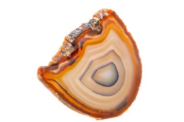 Beyaz bir arka plan makro mineral taş sarı, kahverengi akik doğurmak yakın çekim