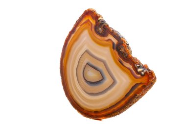 Beyaz bir arka plan makro mineral taş sarı, kahverengi akik doğurmak yakın çekim
