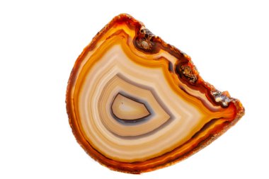 Beyaz bir arka plan makro mineral taş sarı, kahverengi akik doğurmak yakın çekim