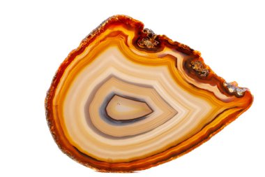 Beyaz bir arka plan makro mineral taş sarı, kahverengi akik doğurmak yakın çekim