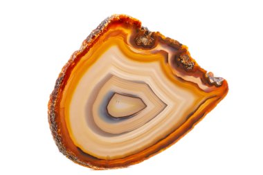 Beyaz bir arka plan makro mineral taş sarı, kahverengi akik doğurmak yakın çekim