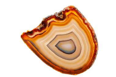 Beyaz bir arka plan makro mineral taş sarı, kahverengi akik doğurmak yakın çekim