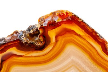 Beyaz bir arka plan makro mineral taş sarı, kahverengi akik doğurmak yakın çekim