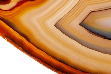 Beyaz bir arka plan makro mineral taş sarı, kahverengi akik doğurmak yakın çekim