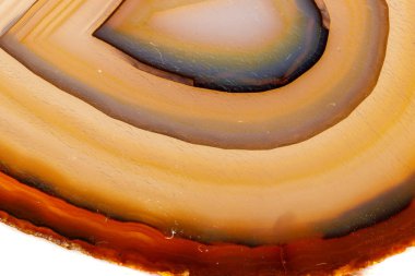 Beyaz bir arka plan makro mineral taş sarı, kahverengi akik doğurmak yakın çekim