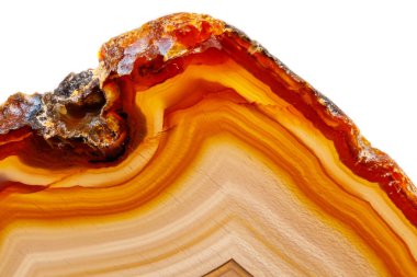 Beyaz bir arka plan makro mineral taş sarı, kahverengi akik doğurmak yakın çekim