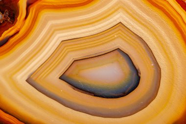 Beyaz bir arka plan makro mineral taş sarı, kahverengi akik doğurmak yakın çekim