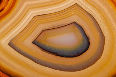Beyaz bir arka plan makro mineral taş sarı, kahverengi akik doğurmak yakın çekim