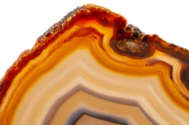 Beyaz bir arka plan makro mineral taş sarı, kahverengi akik doğurmak yakın çekim