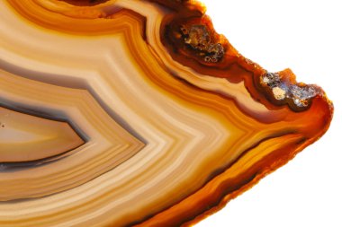 Beyaz bir arka plan makro mineral taş sarı, kahverengi akik doğurmak yakın çekim