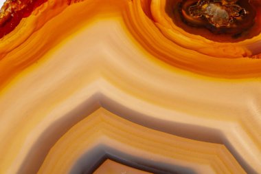 Beyaz bir arka plan makro mineral taş sarı, kahverengi akik doğurmak yakın çekim