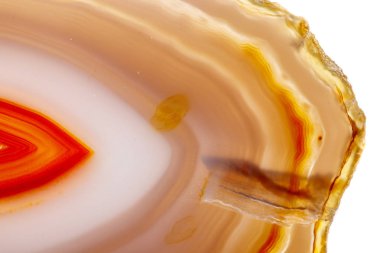 Beyaz bir arka plan makro mineral taş sarı, kahverengi akik doğurmak yakın çekim