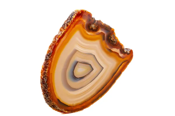 Macro Pierre Minérale Jaune Brun Agate Reproduire Fond Blanc Près — Photo