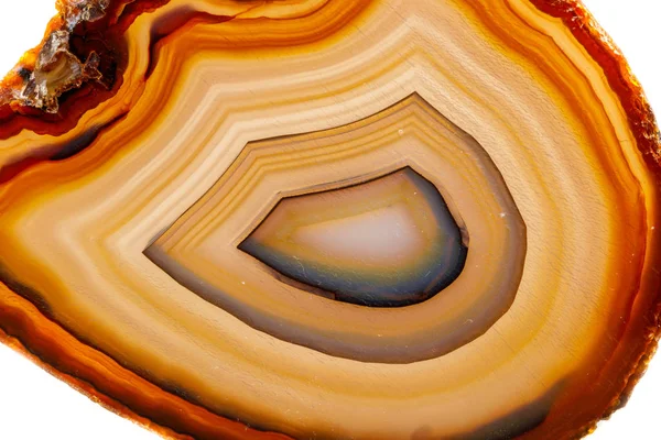 Macro Pierre Minérale Jaune Brun Agate Reproduire Fond Blanc Près — Photo