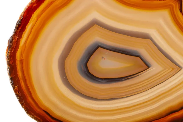 Macro Pierre Minérale Jaune Brun Agate Reproduire Fond Blanc Près — Photo