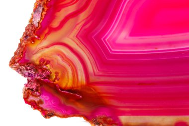 Makro mineral taş pembe akik doğurmak beyaz bir arka plan yakın çekim