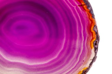 Makro mineral taş mor akik doğurmak beyaz bir arka plan yakın çekim