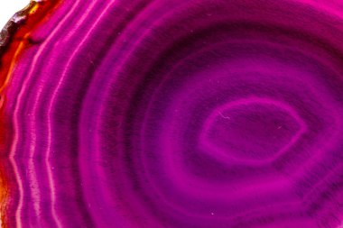 Makro mineral taş mor akik doğurmak beyaz bir arka plan yakın çekim