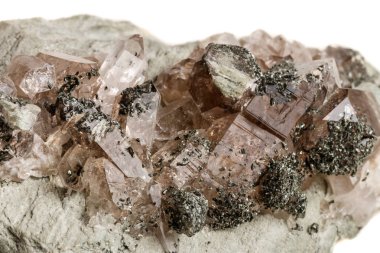 Makro mineral taş kuvars klorit Palygorskite kayanın üzerinde beyaz arka plan yakın çekim