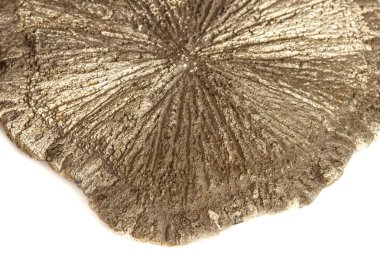 Makro mineral taş pirit doları beyaz arka plan yakın çekim