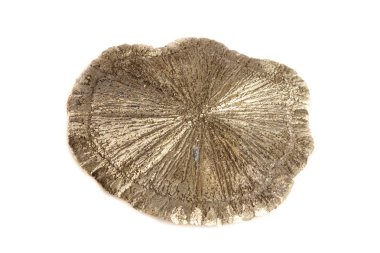 Makro mineral taş pirit doları beyaz arka plan yakın çekim