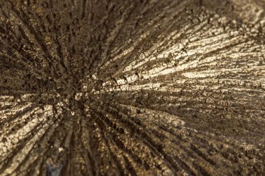 Beyaz bir arka plan üzerinde makro mineral taş pirit Doları 