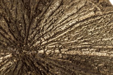 Beyaz bir arka plan üzerinde makro mineral taş pirit Doları 