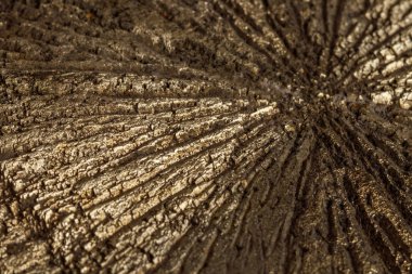 Makro mineral taş pirit doları beyaz arka plan yakın çekim
